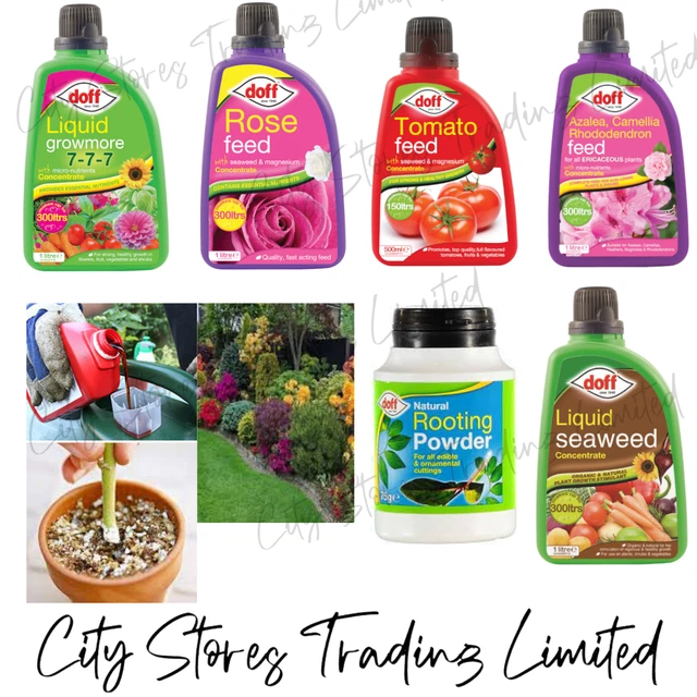 Miracle-Gro All Purpose Soluble Plant Food Fast Acting Fertiliser For Flowers, Vegetables, Shrubs & Houseplants, Indoor & Outdoor, 500g Or 1.2kg Feeds Every 2 Weeks, (Pack Of 1-500g