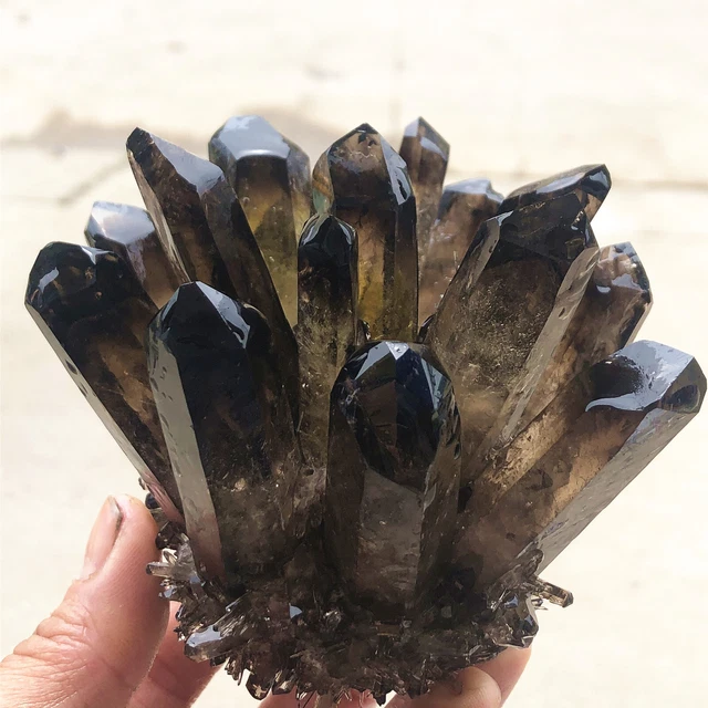 1.33lb New Find Black Phantom Quartz Crystal Cluster Mineral Specimen Healing 3