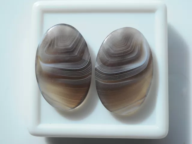 Botswana Agate cabochon pair,Oval 24x16x4mm.