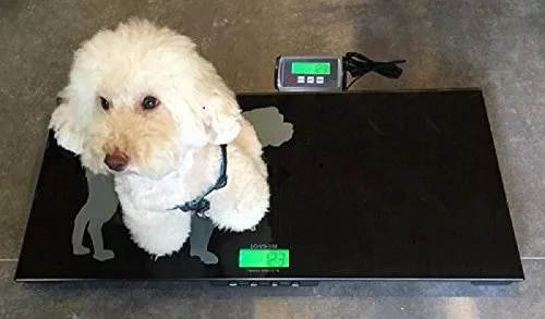 Veterinary Pet Scale with Remote Display 330lb x 0.1lb Tree LC-VS 300 Livestock 2