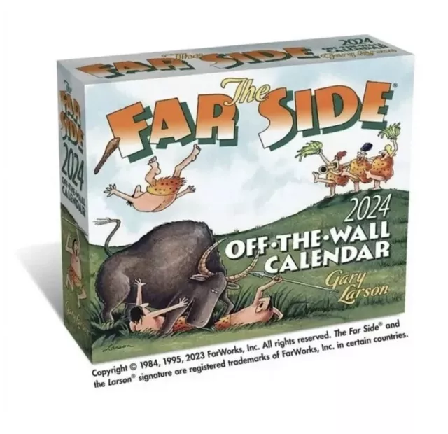 THE FAR SIDE 2024 OfftheWall DaytoDay Calendar 20.99 PicClick