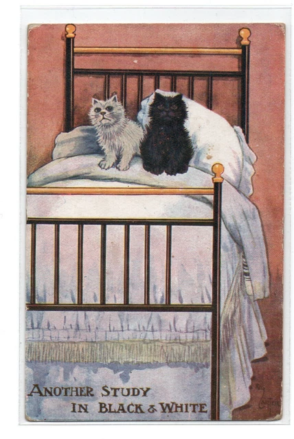 Cartolina Illustratore Sans Signature. Gatti Bianco e Nero