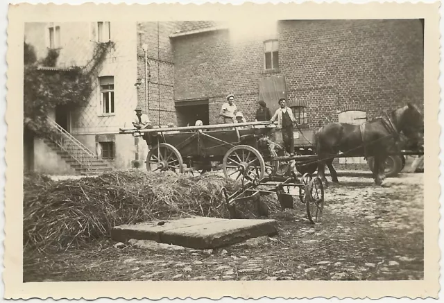 64/270 Foto Pferde Fuhrwerk Technik Landwirtschaft Beruf Bauer Stempel Eilsleben