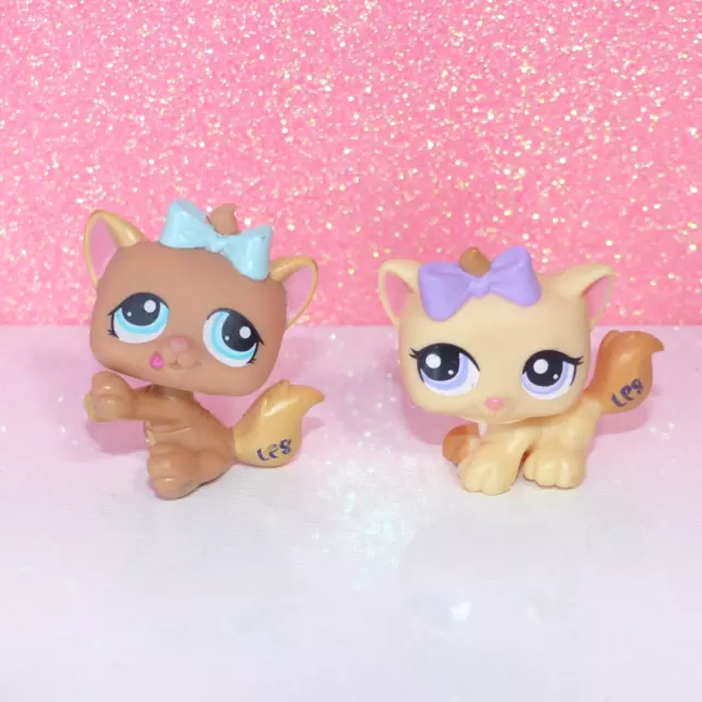 LOT authentic LPS 1335 1337 PETSHOP chat cat baby kitty kitten petriplet chaton