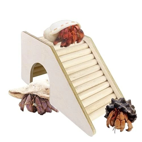 Hermit Crab Hideout with RampWooden Hermit Crab Climbing ToysHermit Crab Acce...
