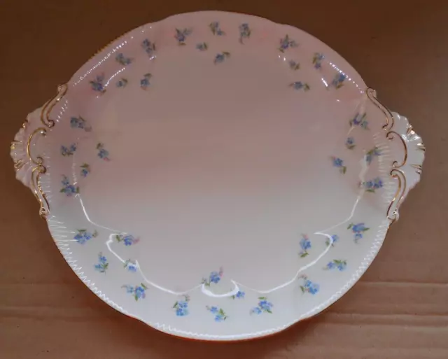 Vintage  Royal Albert Bone China Plate Blue Heaven