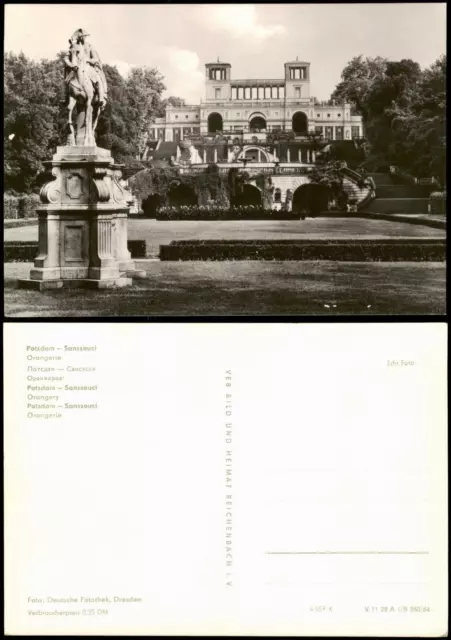 Ansichtskarte Potsdam Sanssouci Orangerie Schloss Park DDR-Zeit 1964