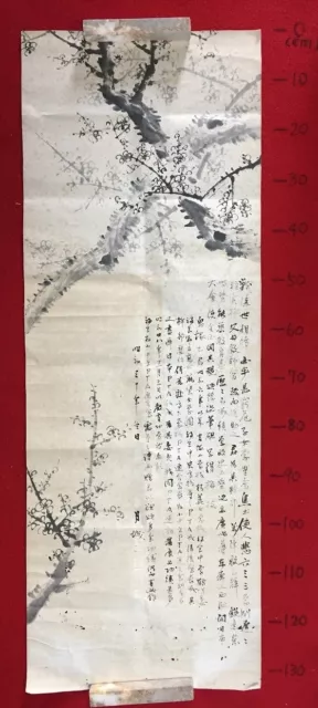 T1370 Japanese Vintage MAKURI MEKURI HONSHI Hand Paint Paper Plum Tree Flower