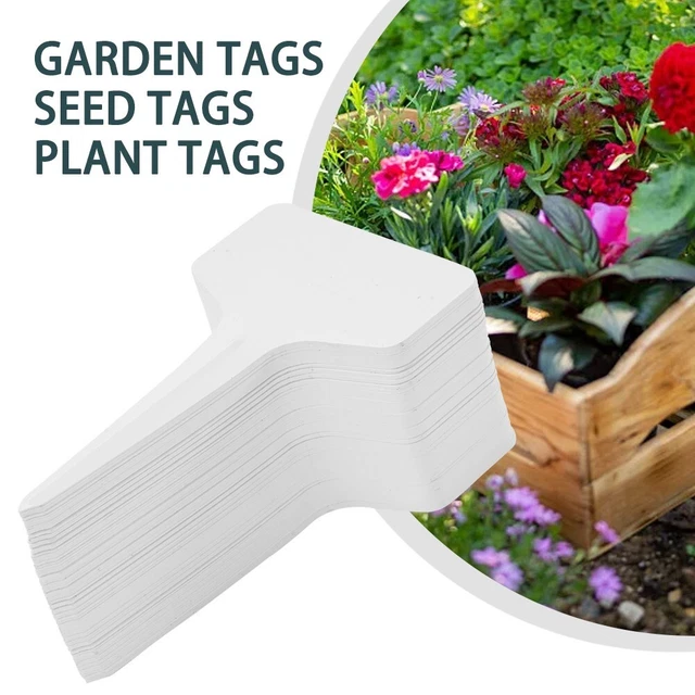 Étiquettes Jardin KINGLAKE 100 Pièces | 5x7cm Plastique Réutilisable - Marqueur Plante Potager