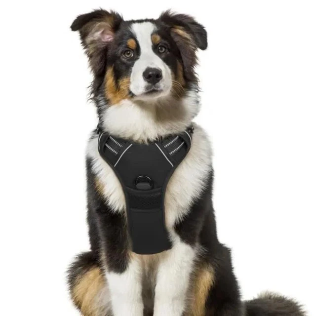 Harnais Veste Pour Chiens - Petit Chien Moyen Gilet Souple Plusieurs Couleurs Convient Également - Foto 12