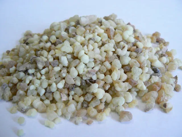 Encens en grains Oliban d'Oman- Boswellia sacra - 50 grammes