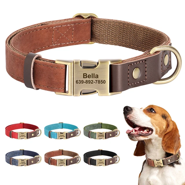 ORIGINALE Collare Di Pelle Per Cane,personalizza,Acciaio Inox,7.1cm Larghezza. E - Foto 2
