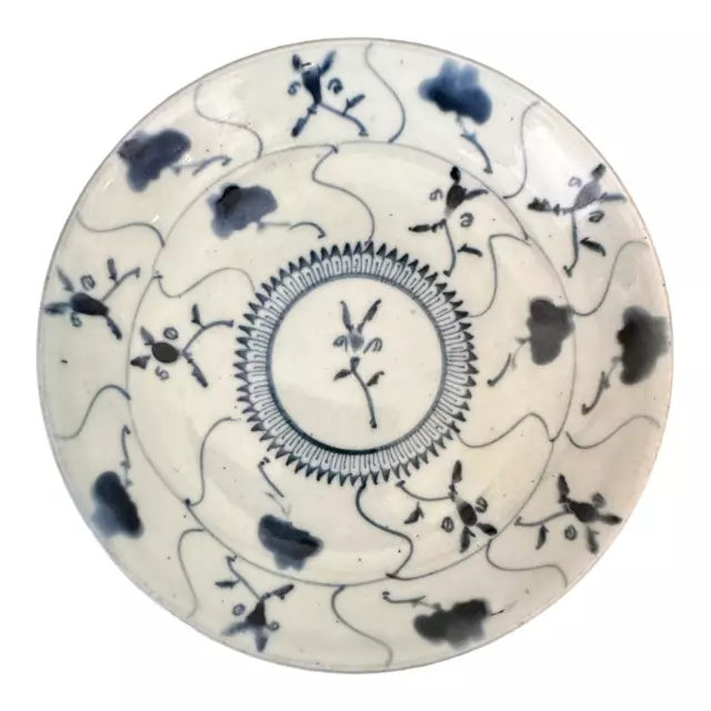 19th Century Qing Dynasty Chinese Blue & White Porcelain Plate Radiating Pattern