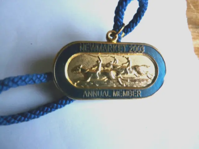 Horse Racing Annual Members Enamel Badge ~ Newmarket  2003