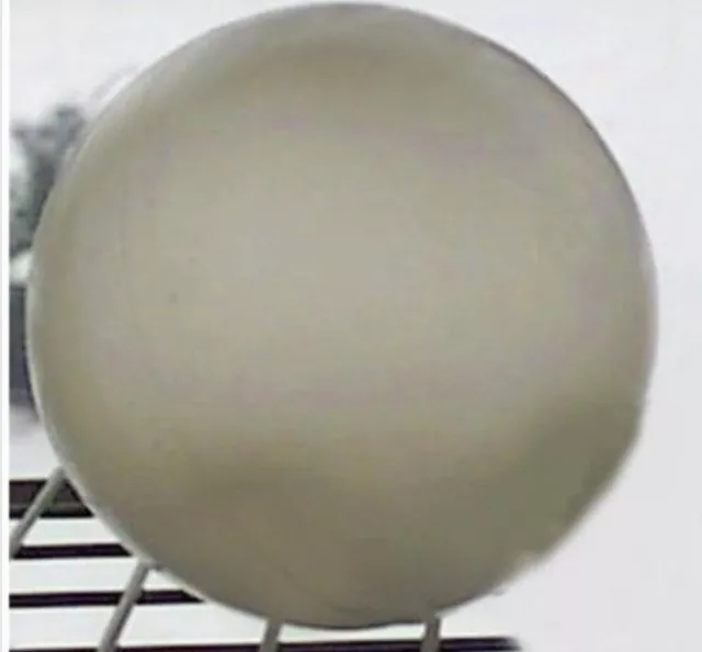 Ball Polyethylene Ball 6" Seamless Hollow White Translucent Unbreakable 15468-30