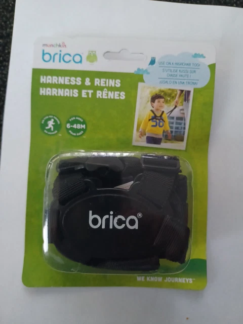Brica harness and clearance reins