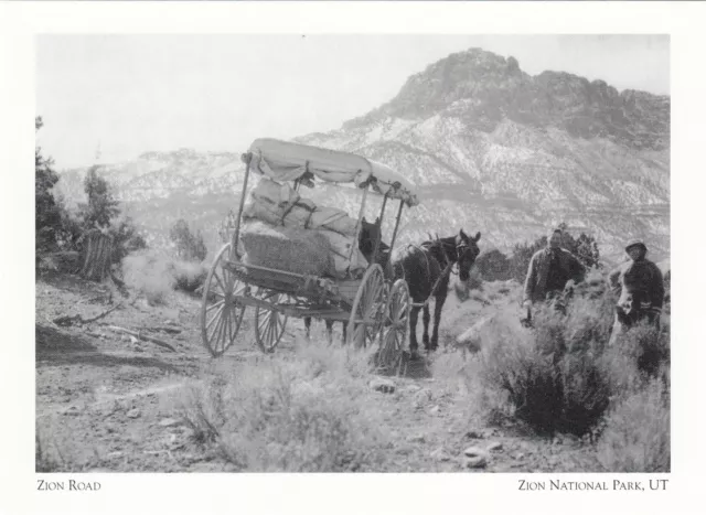 (18218) Postkarte Zion Nationalpark Zion Road (moderne Karte)