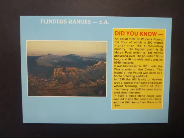 Retro Australian Postcard- Flinders Rangers, Sa