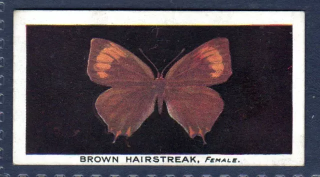 BROWN HAIRSTREAK - Original 1920's BRITISH BUTTERFLIES Cigarette Card