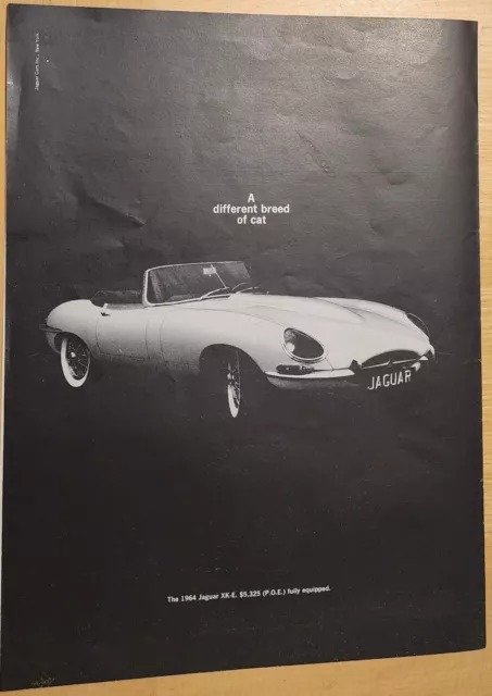 1964 Jaguar XK-E A Different Breed of Cat Vintage Print Ad Magazine Page Jag