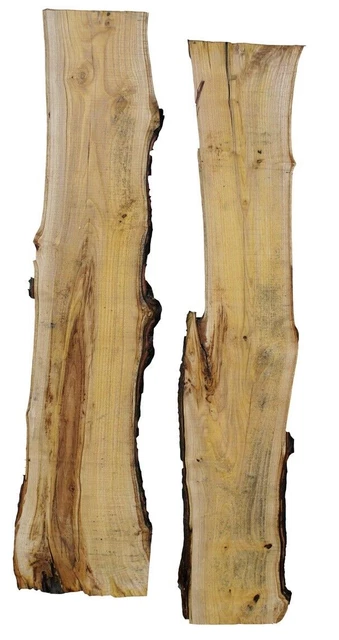 Set 4 Tavole In Legno Noce Per Intaglio - 20x5x1 Cm, Grezze, Per Progetti Fai Da Te, Decorazioni, Artigianato