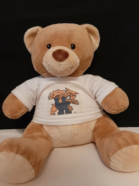 Kentucky Wildcats Build a Bear Plush