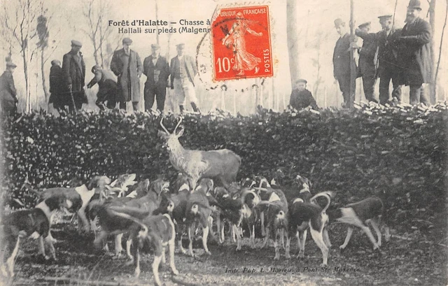 Cpa 60 Foret Halatte / Chasse A Courre / Hallali Sur Pieds / Chiens Au Ferme