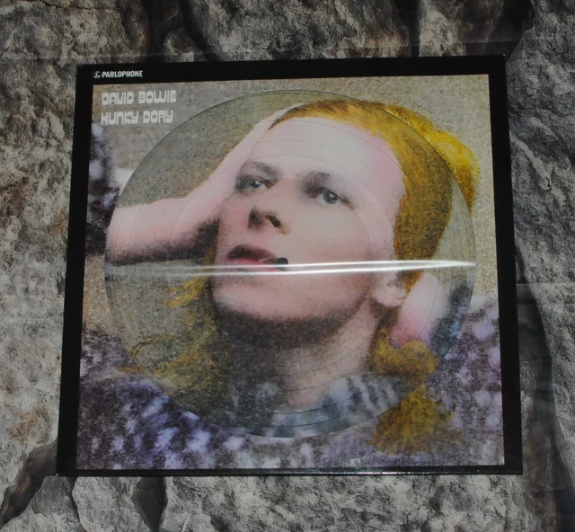 DAVID BOWIE - Hunky Dory LP Picture Disc Remaster Reissue 2022 EUR 11 ...
