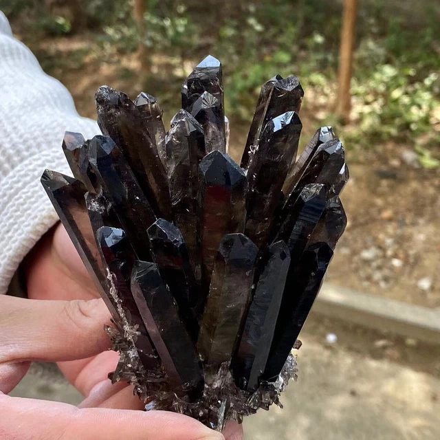 1.23LB  New Find black Phantom Quartz Crystal Cluster Mineral Specimen Healing