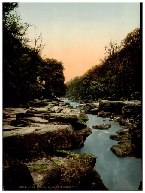 Angleterre. Yorkshire. Bolton Woods, the Strid.  Vintage photochrom by P.Z, Phot