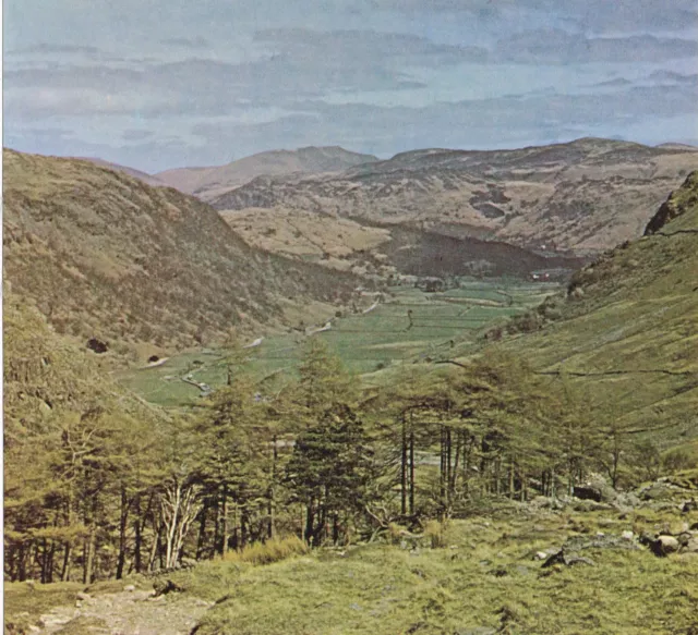 Borrowdale Lake District Cumbria Vintage Print Picture 1974 CBOTLD#39