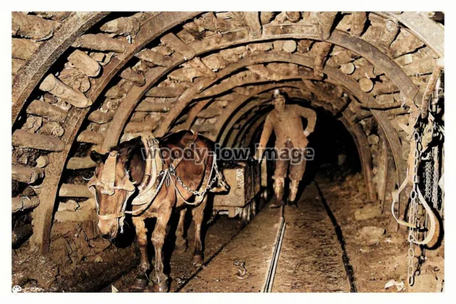 rpc7617 - Pit Pony in a Coal Mine - print 6x4
