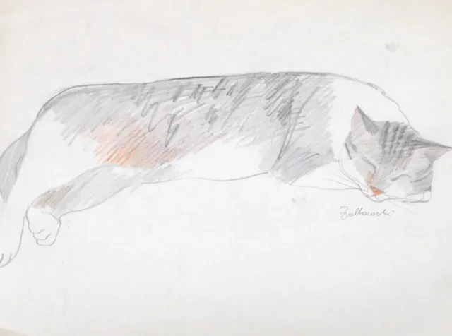 Eva ZIOLKOWSKI, aus meinem Skizzenbuch - Katze I - Zeichnung