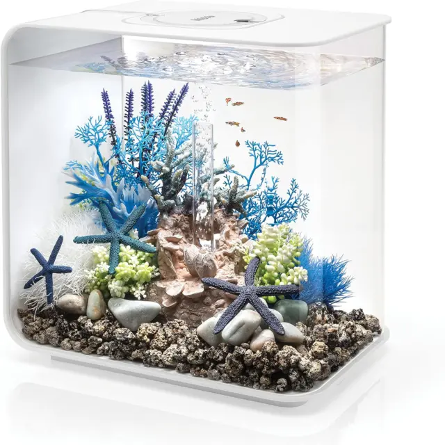 BiOrb Flow 30 Acrylic 8-Gallon Aquarium with White LED Lights Modern Tank for