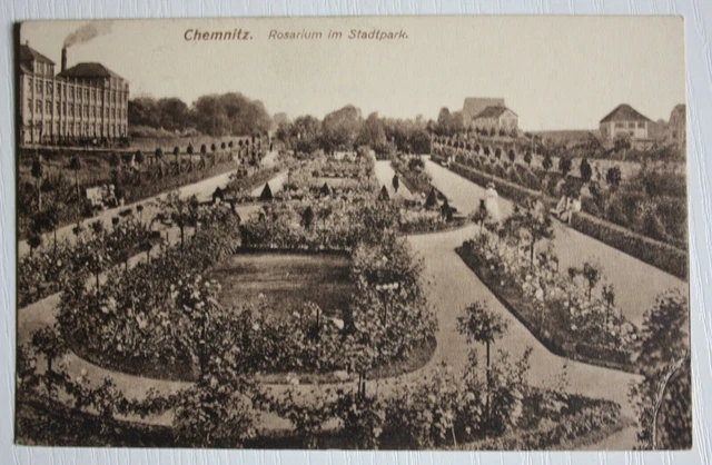 AK Chemnitz, Rosarium im Stadtpark, Sachsen, gel. 1915, 106. Infanterie Rgt.
