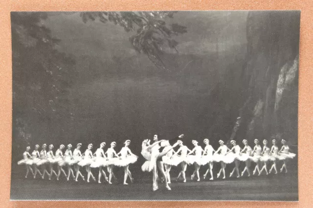 Russian ballet Scene from the Ballet SWAN LAKE. Russian photo postcard USSR 1965