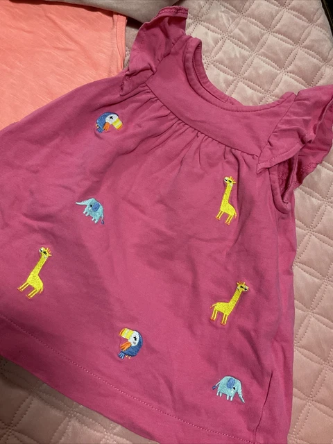 Baby girl large clothes bundle size 3-6 months Various brands 11