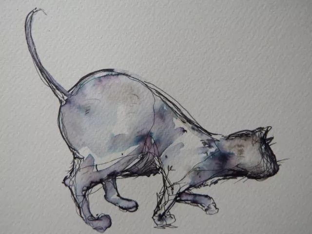 Original pen & ink wash drawing of a cat stalking on watercolour paper