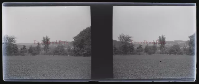Paysage Champ c1920 Photo NEGATIVE Plaque de verre Stereo Vintage V33L25n20
