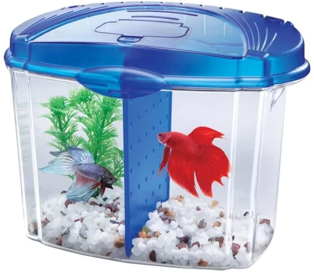 Aqueon Betta Bowl Kit Blue .5 Gallon