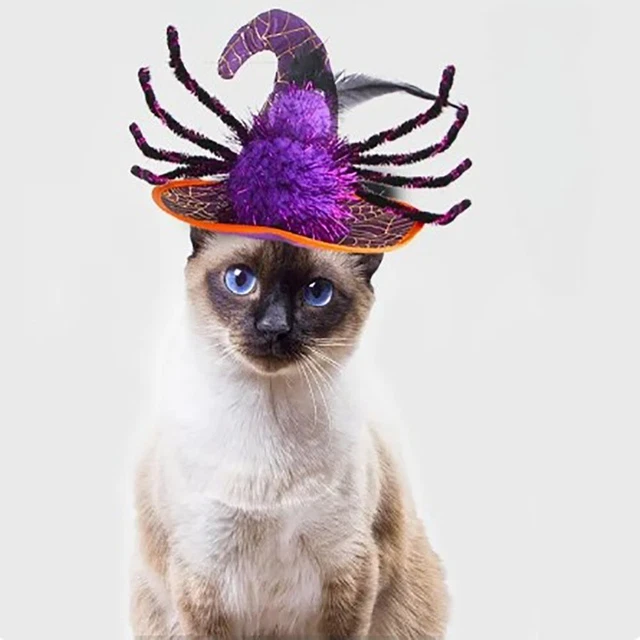 Traspirante animale domestico copricapo panno gatto Halloween cappello cane