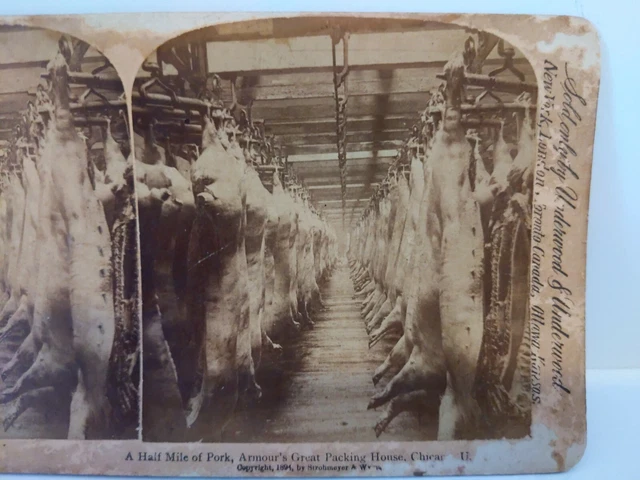 Original 1890s Pig Pork Armour’s Meat Packing House Chicago IL Stereoview