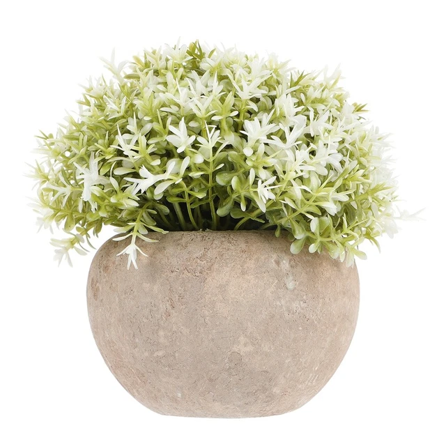 Grün Sträucher Pflanzen Gefälschte Anlage Decor Künstliche Sukkulenten Bonsai