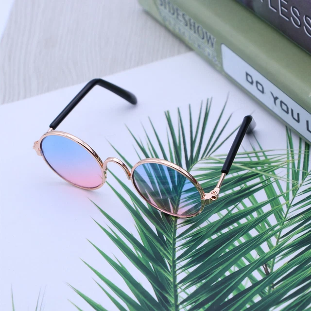 Accessori per gatti gatti indossano gli occhiali eleganti bellissimi