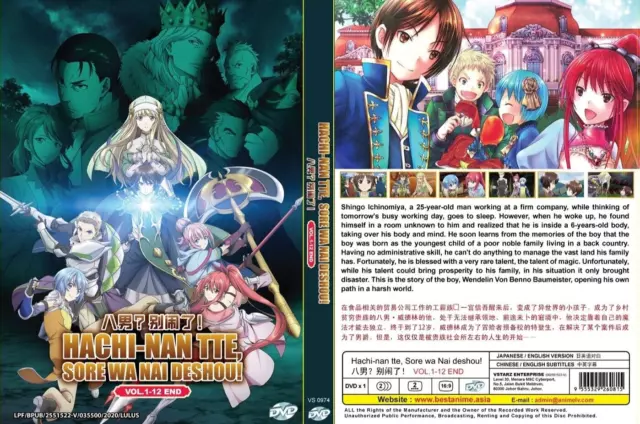 DVD Anime Kamisama Ni Natta Hi Complete TV Series (1-12 End) English Dubbed