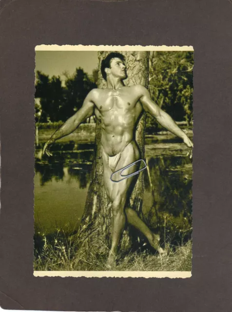 junge nude   boy 