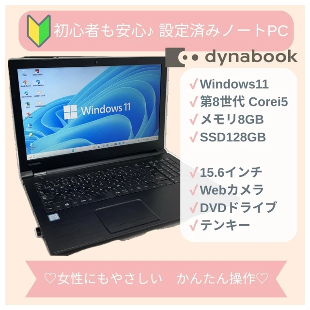NEC VJ24MX-U 15.6