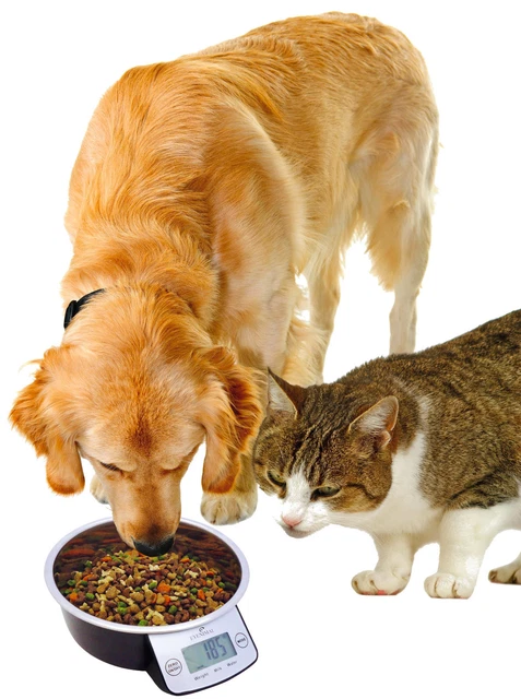 Eyenimal iIntelligent Pet Bowl - Extra Large IBowl-XL