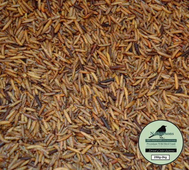 Dried Calci Worms Premium Wild Bird Food Fish Reptile Rodent Like Mealworm