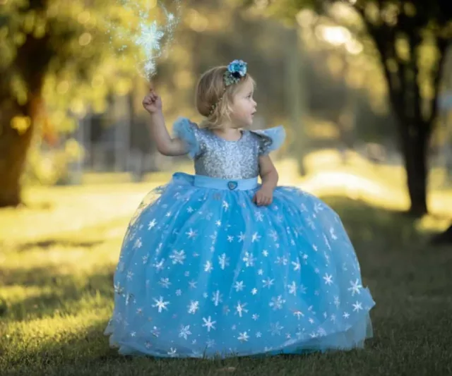 Frozen Princess Elsa Fancy Birthday Dress Costume, Contact me for 40% discount